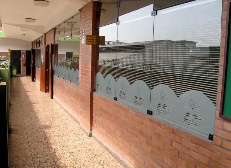 secundaria patio