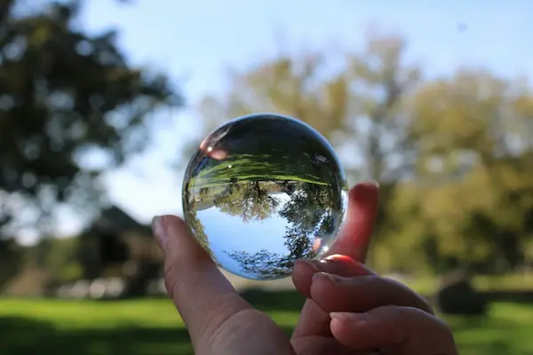 Acciones globales que se promueven este año