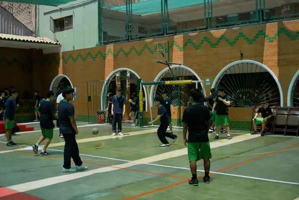 Competencias de educación física y sus capacidades en primaria y secundaria
