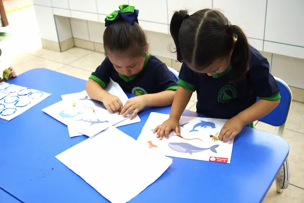 Tipos de tutoría escolar que existen